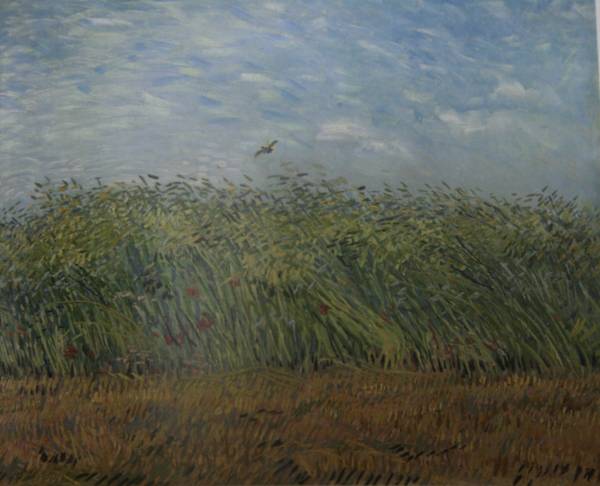 Gogh3.jpg